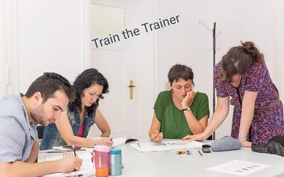 Manual Handling and People Transferring Train The Trainer –  Inhouse  Course